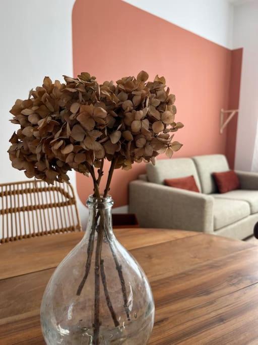 La Maison De Camille Climatisation Parking Prive Wifi Καρκασόν Εξωτερικό φωτογραφία